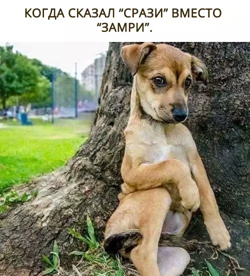 Смешная картинка №284982
