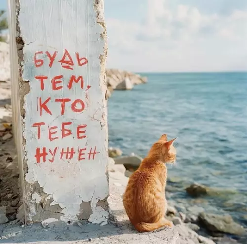 Смешная картинка №724436