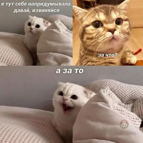 Смешная картинка №511893 Коротко об отношениях с девушками: