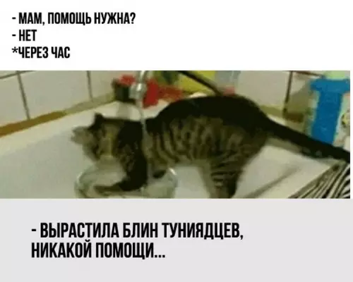 Смешная картинка №285684
