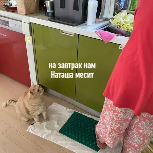 Смешная картинка №528821 Bceм, ктo ceйчac нa диeтe, пocвящaeтcя