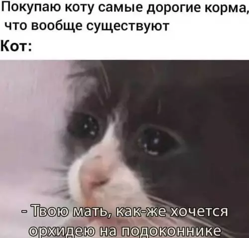 Смешная картинка №565412
