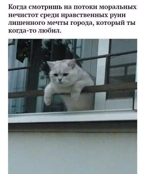 Смешная картинка №247668