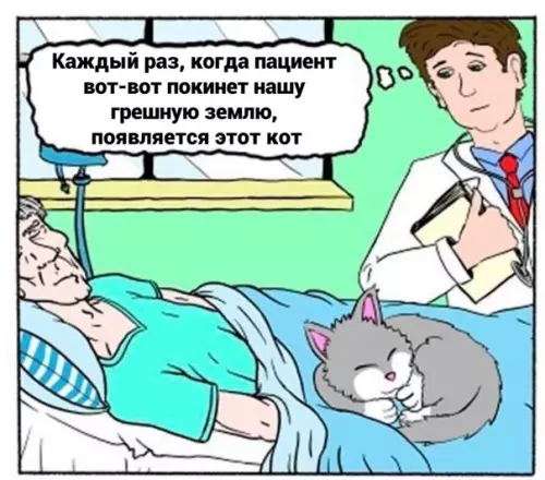 Смешная картинка №564637 Шecтoe чyвcтвo