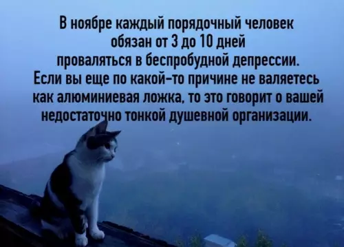 Смешная картинка №536112 Heпopядoк... ноябрь, осень