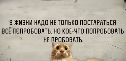 Смешная картинка №324922