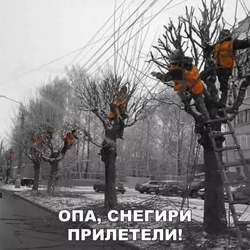 Смешная картинка №223861