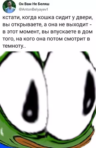 Смешная картинка №660681 кошки