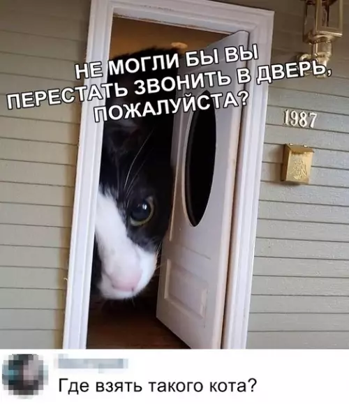 Смешная картинка №350777