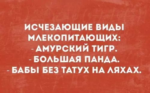 Смешная картинка №382774