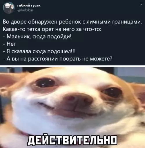 Смешная картинка №506568