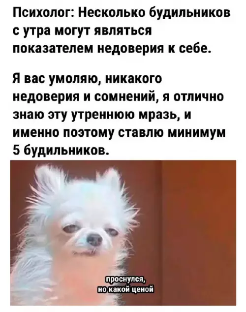 Психологи vs Реальность ⏰🤡 - Психолог: Несколько будильников с утра могут являться показателем недоверия к