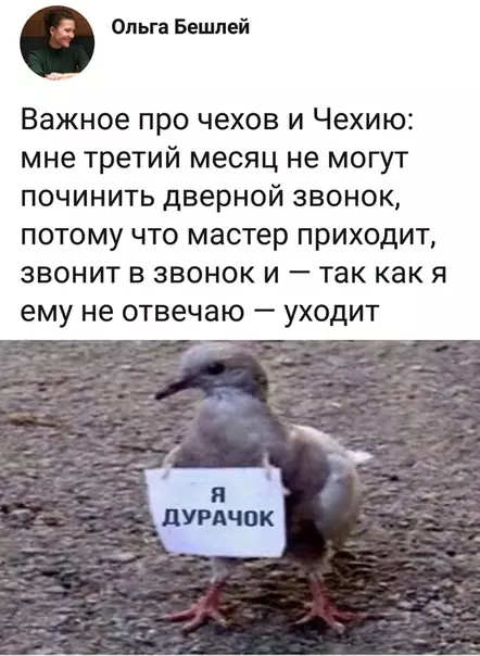 Смешная картинка №371289