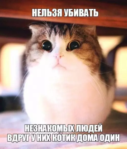 Смешная картинка №230271