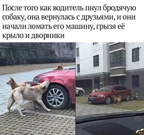 Смешная картинка №359224
