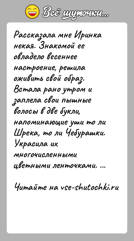 История: Рассказала мне Иринка некая. Знакомой ее овладело весеннее настроение, решила оживить свой образ. Встала рано утром и заплела свои пышные