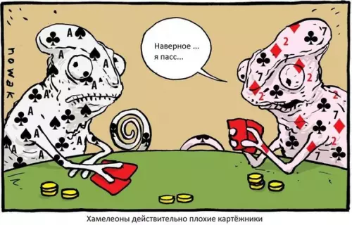 Смешная картинка №409701 Хамелеоны действительно плохие картёжники