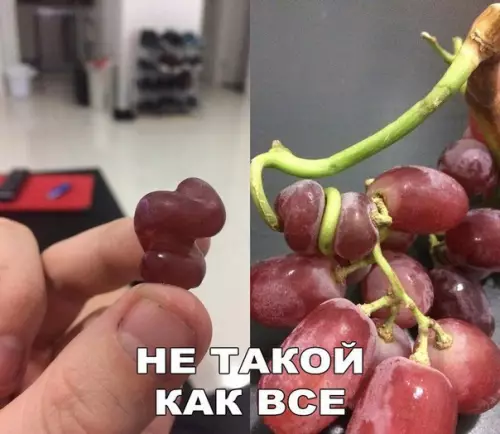 Смешная картинка №208947