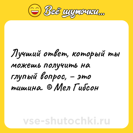 Шутка: Лучший ответ, который ты можешь получить на глупый вопрос, – это тишина. © Мел Гибсон