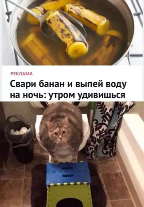 Смешная картинка №705977