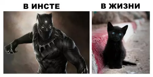 Смешная картинка №286934