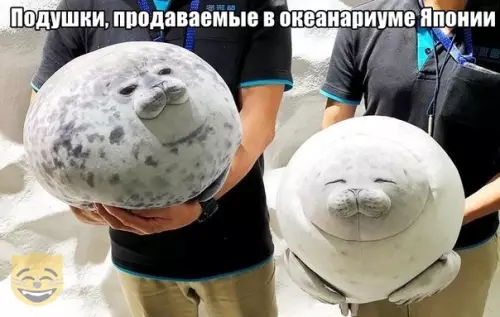 Смешная картинка №390291 #приколы #картинки #мемы ?