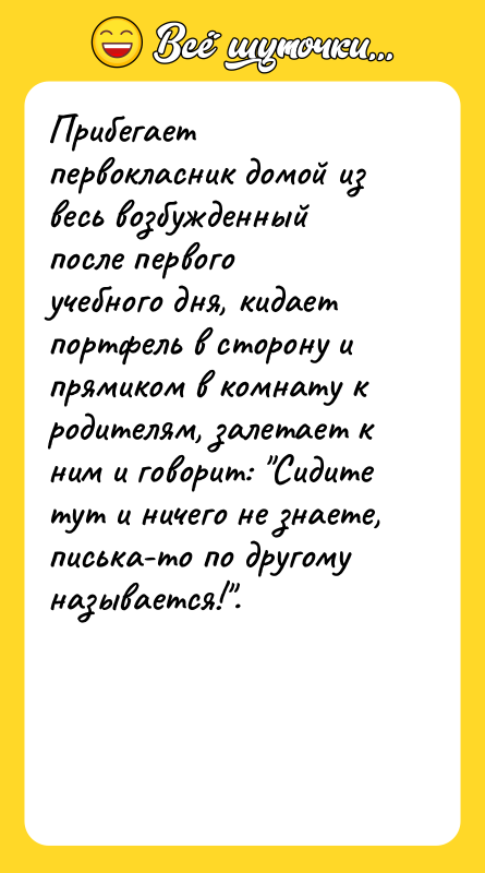 Прибегает первокласник домой из весь возбужденный после первого учебного дня,