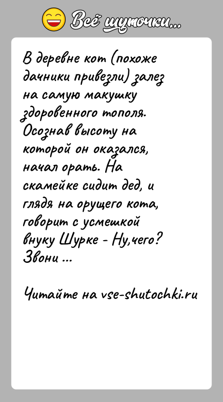 История: В деревне кот (похоже дачники привезли) залез на самую макушку здоровенного тополя. Осознав высоту на которой он оказался, начал орать.