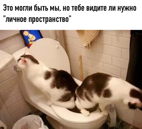 Смешная картинка №626366