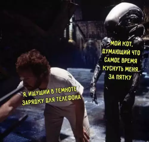 Смешная картинка №728720 Выпал шанс коты