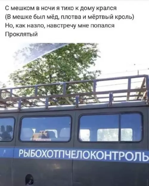 Смешная картинка №788362
