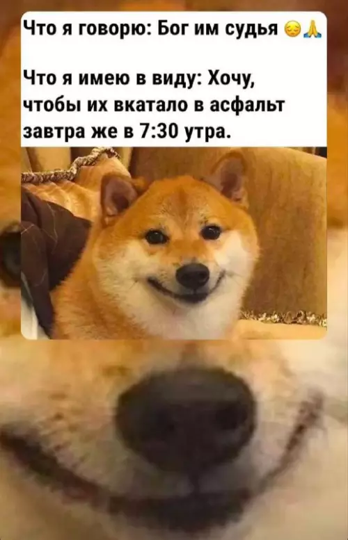 Смешная картинка №719063