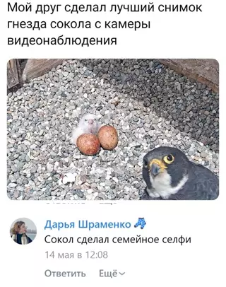 Смешная картинка №643585