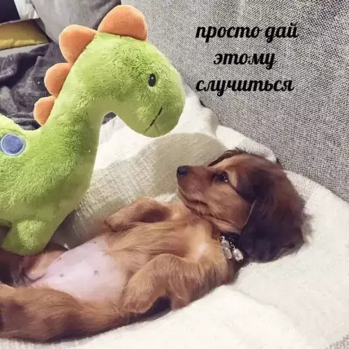 Смешная картинка №666200