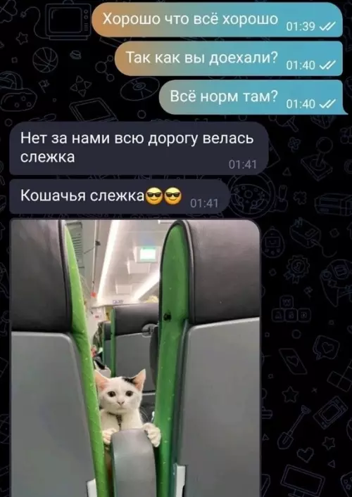 Смешная картинка №663720