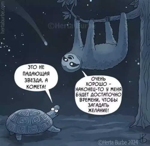 Смешная картинка №735047 Помедленнее