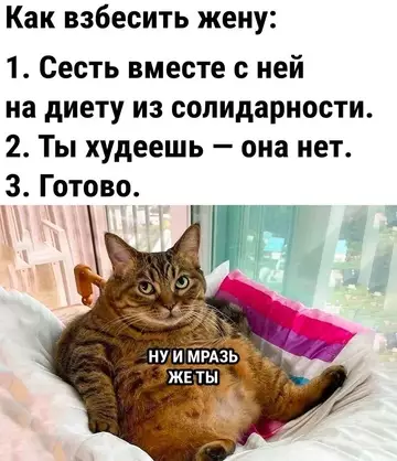 Смешная картинка №749783