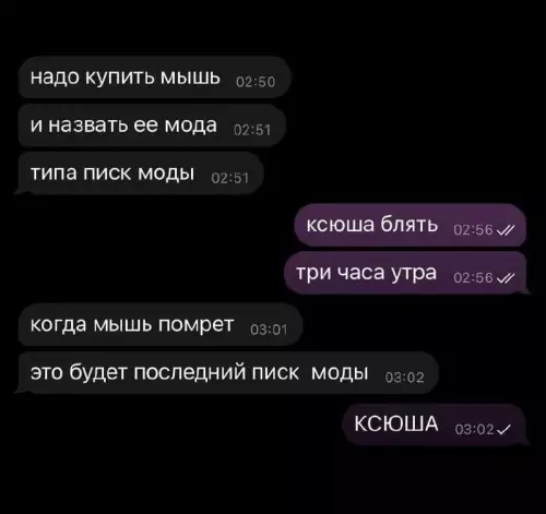 Гениальный каламбур в три часа ночи 😂 - надо купить мышь 02:50 и назвать ее мода 02:51 типа