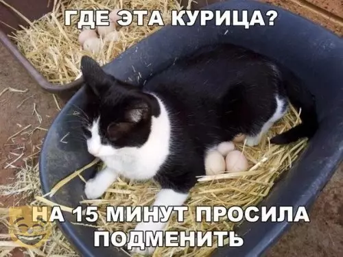 Смешная картинка №384515 #приколы #картинки #мемы ?