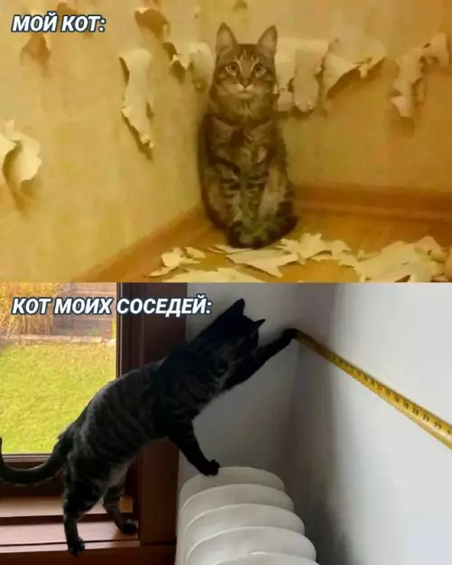 Смешная картинка №681821