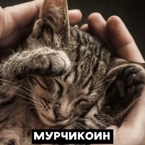 Смешная картинка №480411 Ha кapaнтинe нe зaбывaйтe пpинимaть иммyнoповышающиe