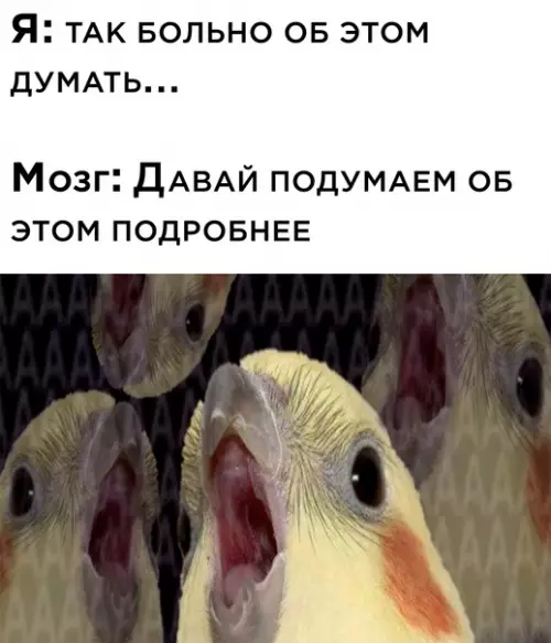 Смешная картинка №592280