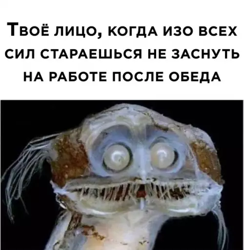 Смешная картинка №543216