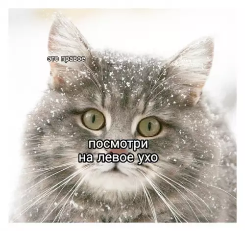 Смешная картинка №395876