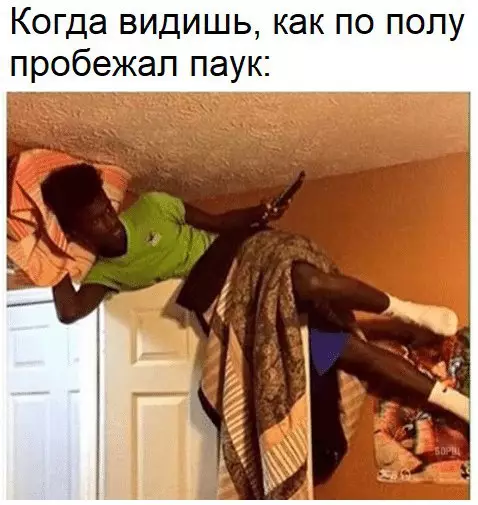 Смешная картинка №215307