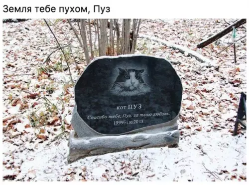 Смешная картинка №323990 За душу берет