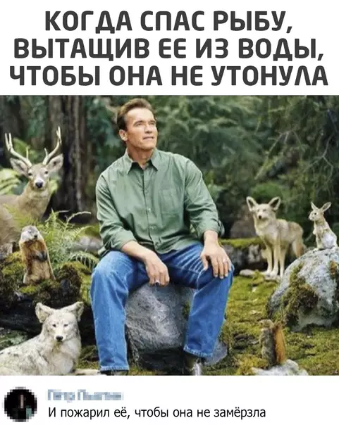 Смешная картинка №542344