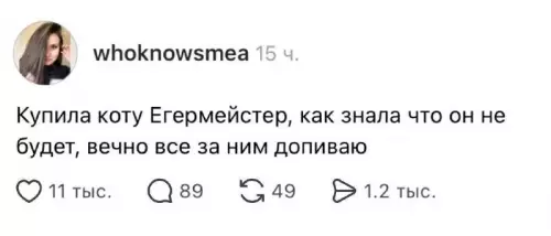 Кошачий уровень кекса 😼 - Купила коту Егермейстер, как знала что он не будет, вечно