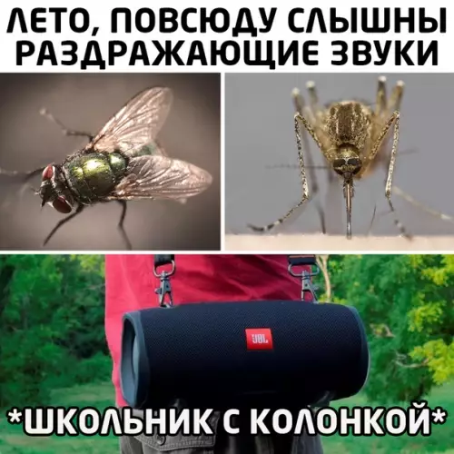 Смешная картинка №501051
