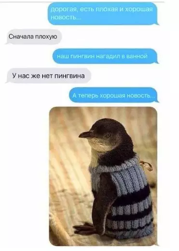 Смешная картинка №239077 Пингвины